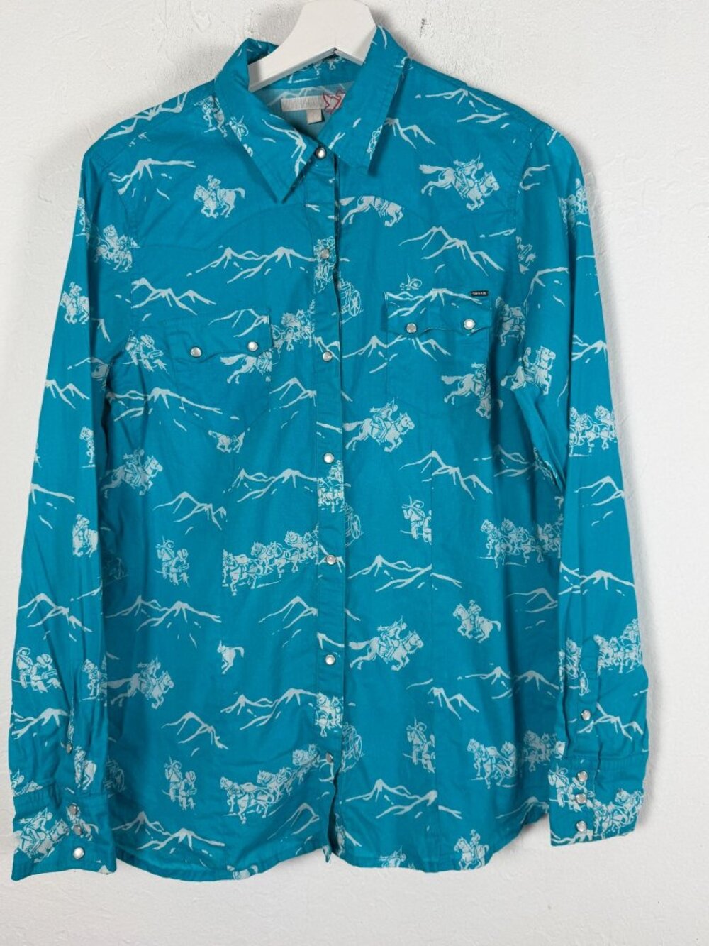 Tin Haul Women's Western Snap Shirt Turquoise Horse Mountain Print Boho Large